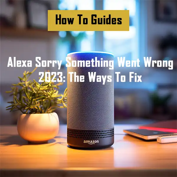 alexa-sorry-something-went-wrong