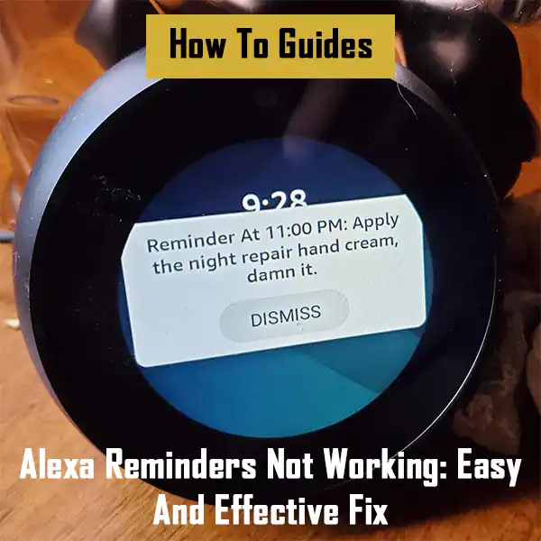 alexa-reminders-not-working-easy-and-effective-fix