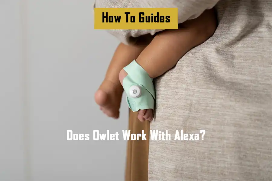 does-owlet-work-with-alexa